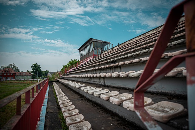 态的全面恢 态的全面恢