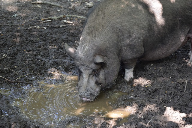 但其中潜藏 但其中潜藏
