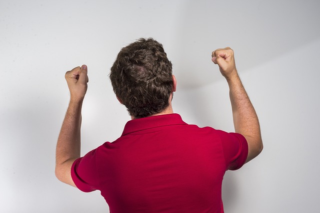 林高远的关 林高远的关