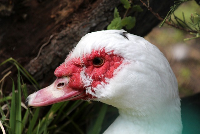 是本篇文章 是本篇文章