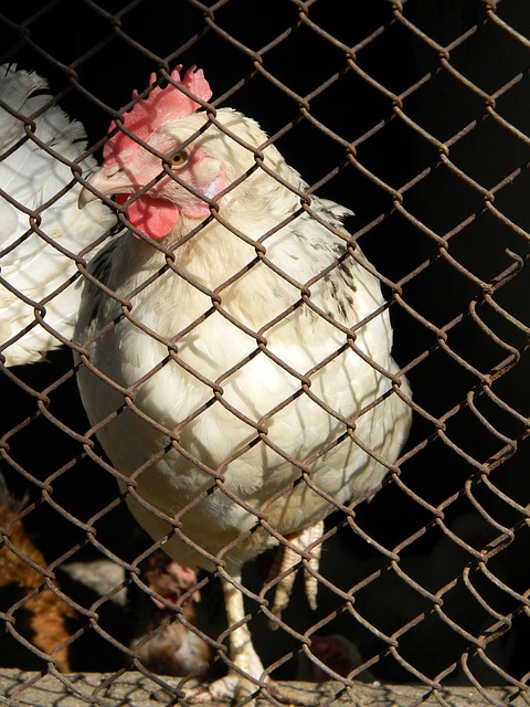 交流的重要 交流的重要